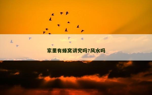 家里有蜂窩講究嗎?風水嗎