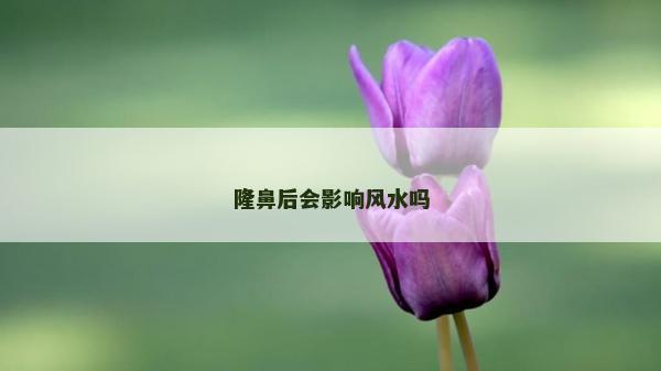 隆鼻后會影響風水嗎 隆鼻后會影響風水嗎