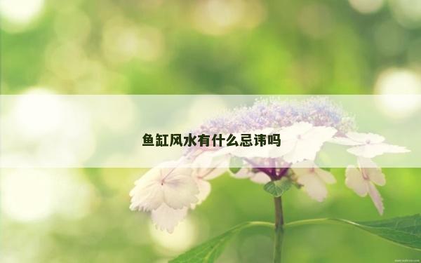 魚(yú)缸風(fēng)水有什么忌諱嗎 魚(yú)缸風(fēng)水有什么忌諱嗎