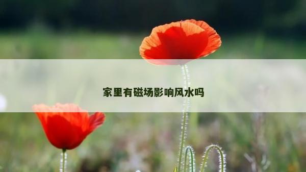 家里有磁場影響風水嗎