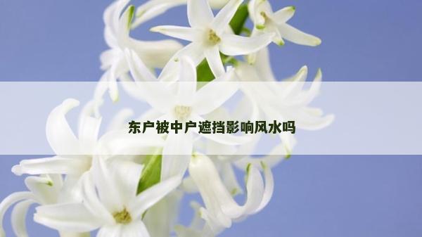 東戶被中戶遮擋影響風水嗎 東戶被中戶遮擋影響風水嗎