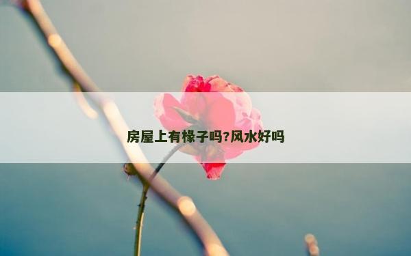 房屋上有椽子嗎?風(fēng)水好嗎 房屋上有椽子嗎?風(fēng)水好嗎