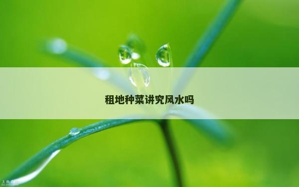 租地種菜講究風水嗎