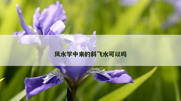 風水學中來的斜飛水可以嗎 風水學中來的斜飛水可以嗎