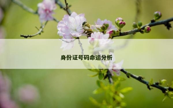 身份證號碼命運分析