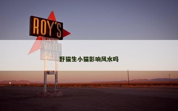 野貓生小貓影響風(fēng)水嗎