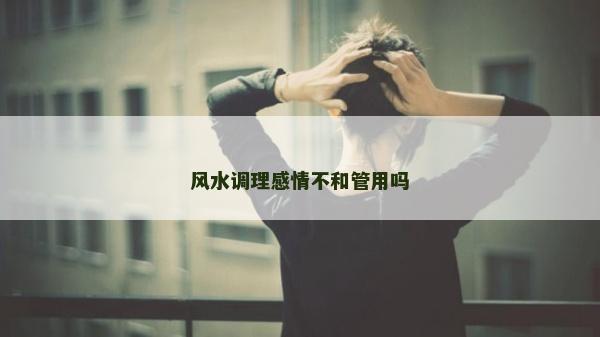 風水調理感情不和管用嗎