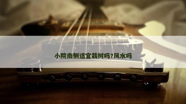 小院南側適宜栽樹嗎?風水嗎