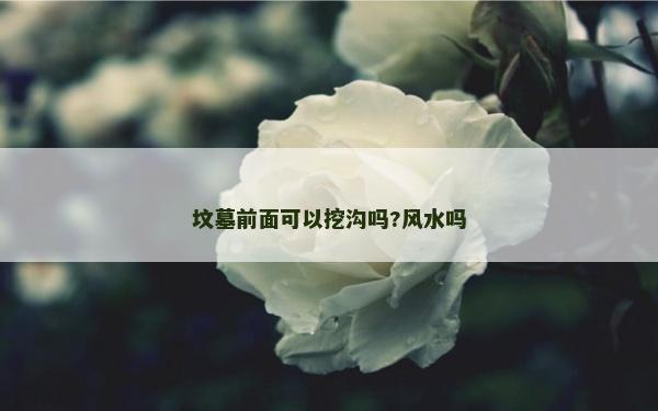 墳?zāi)骨懊婵梢酝跍蠁?風(fēng)水嗎 墳?zāi)骨懊婵梢酝跍蠁?風(fēng)水嗎