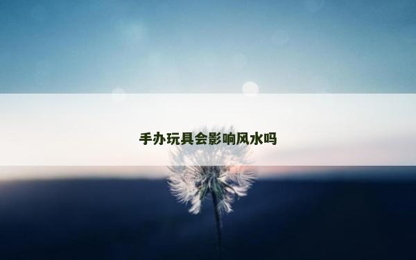 手辦玩具會影響風水嗎