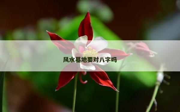 風水墓地要對八字嗎