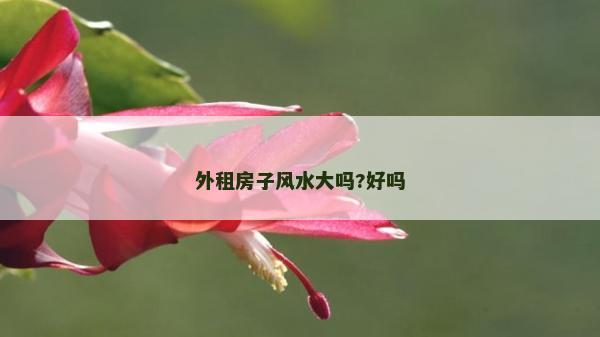 外租房子風水大嗎?好嗎 外租房子風水大嗎?好嗎