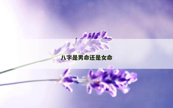 八字是男命還是女命 八字是男命還是女命