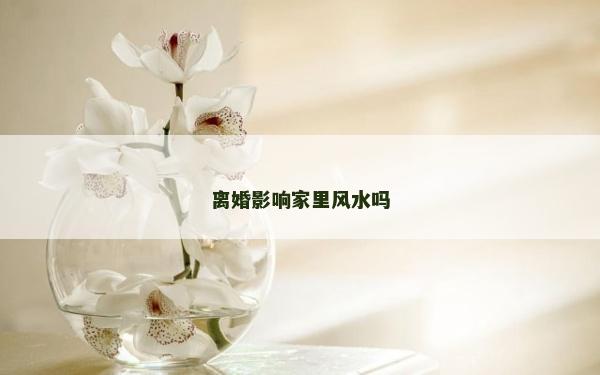 離婚影響家里風水嗎