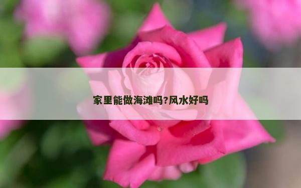 家里能做海灘嗎?風(fēng)水好嗎