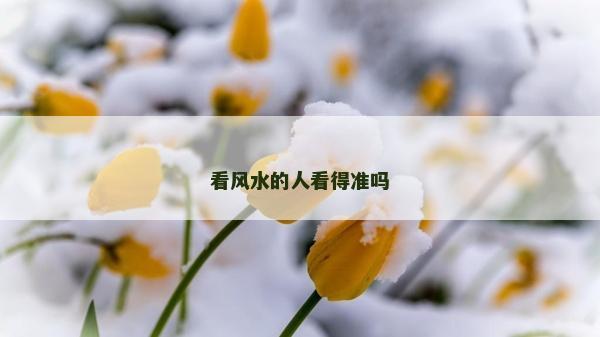看風水的人看得準嗎 看風水的人看得準嗎