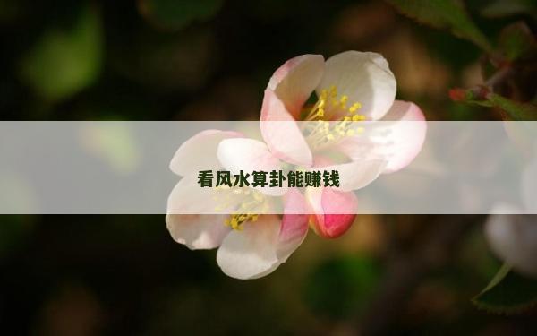 看風水算卦能賺錢 看風水算卦能賺錢