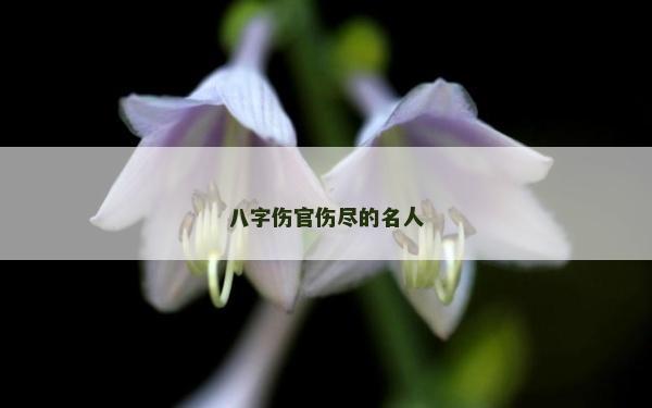 八字傷官傷盡的名人