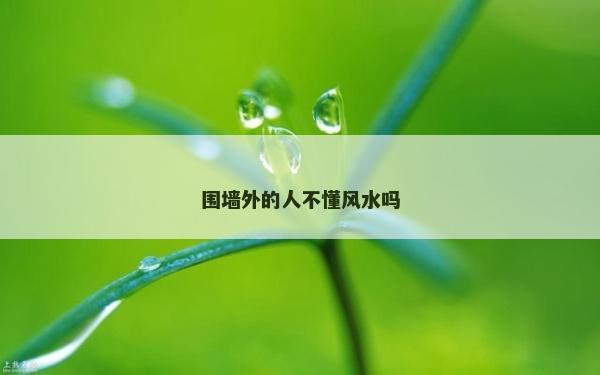 圍墻外的人不懂風水嗎 圍墻外的人不懂風水嗎