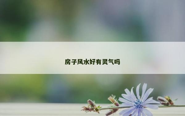 房子風水好有靈氣嗎
