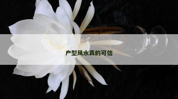 戶型風水真的可信