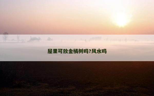屋里可放金橘樹嗎?風水嗎