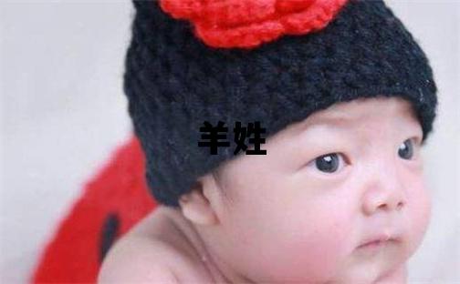 羊姓取名朗朗上口的男寶寶名字