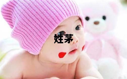 姓茅叫什么名字好 姓茅的女孩優(yōu)美的名字
