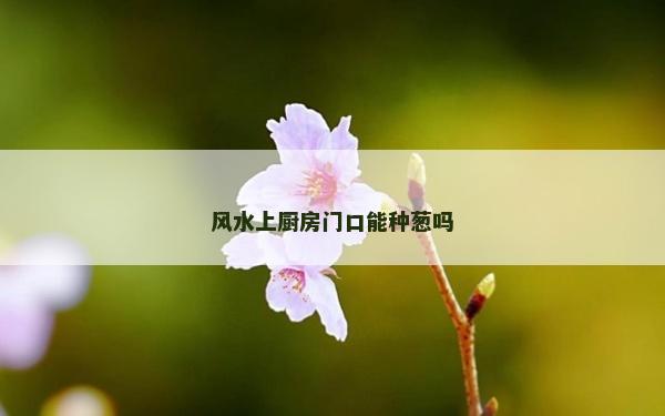 風(fēng)水上廚房門口能種蔥嗎