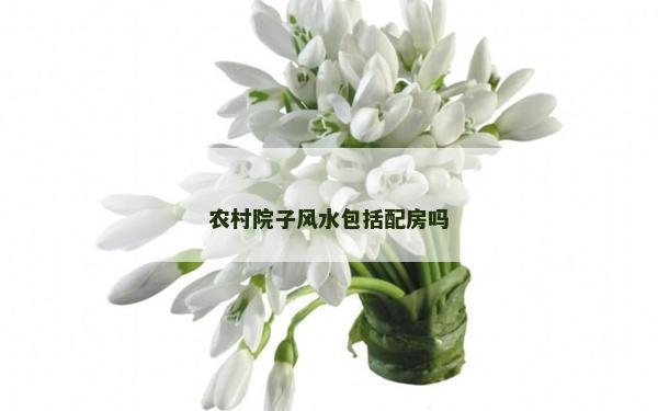 農村院子風水包括配房嗎