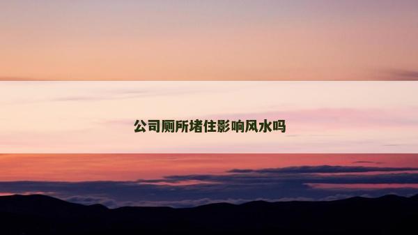 公司廁所堵住影響風水嗎