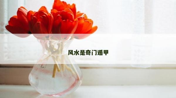 風(fēng)水是奇門遁甲