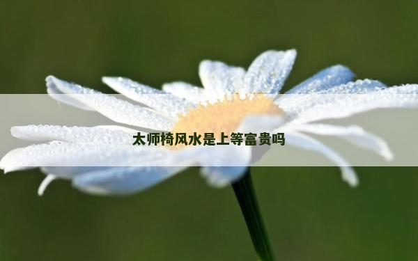 太師椅風水是上等富貴嗎 太師椅風水是上等富貴嗎
