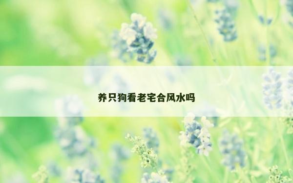 養只狗看老宅合風水嗎
