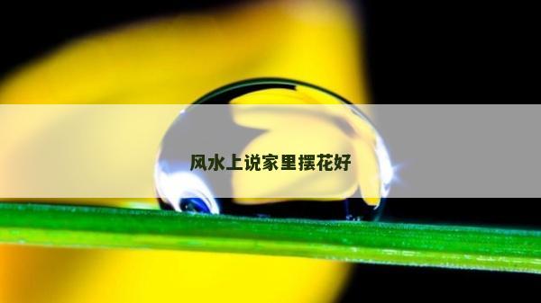 風水上說家里擺花好