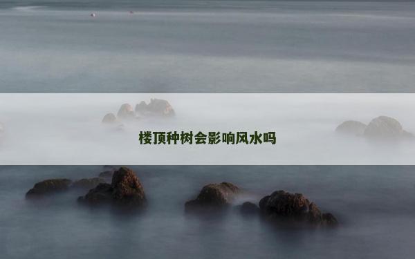 樓頂種樹會(huì)影響風(fēng)水嗎