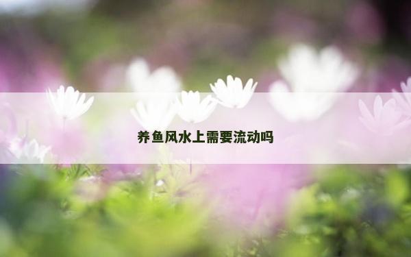 養(yǎng)魚(yú)風(fēng)水上需要流動(dòng)嗎