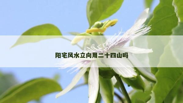 陽宅風水立向用二十四山嗎