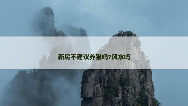 新房不建議養貓嗎?風水嗎