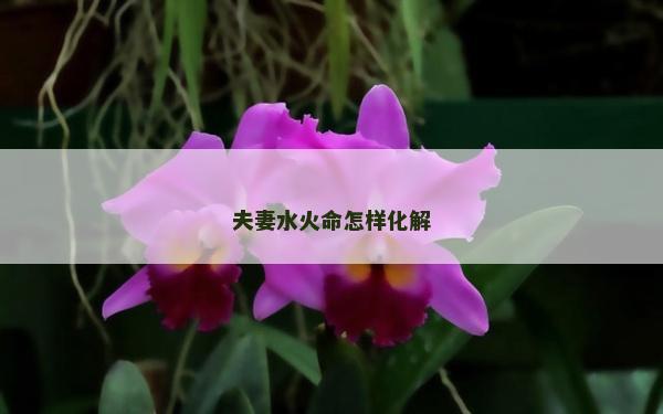 夫妻水火命怎樣化解 夫妻水火命怎樣化解