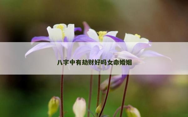 八字中有劫財(cái)好嗎女命婚姻 八字中有劫財(cái)好嗎女命婚姻