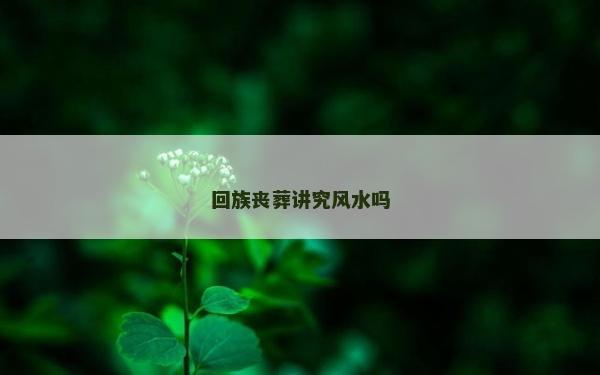 回族喪葬講究風水嗎