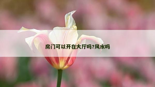 房門可以開在大廳嗎?風水嗎