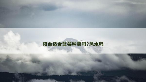 陽臺適合藍莓種類嗎?風水嗎