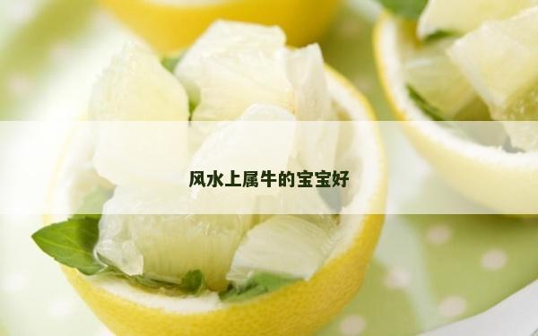 風水上屬牛的寶寶好