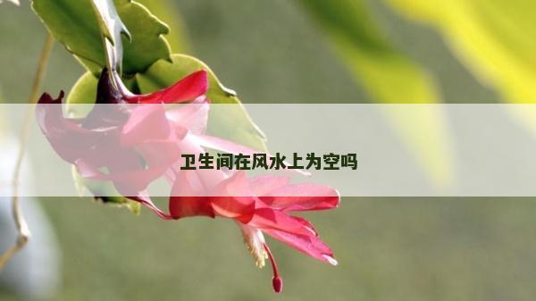 衛(wèi)生間在風水上為空嗎 衛(wèi)生間在風水上為空嗎