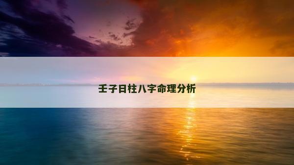壬子日柱八字命理分析