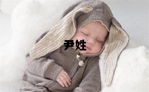 尹姓有創意的男寶寶名字