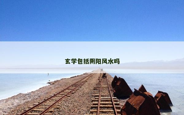 玄學包括陰陽風水嗎