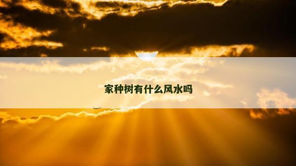 家種樹有什么風水嗎